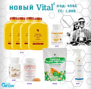 VITAL 5 (Garlic Thyme)